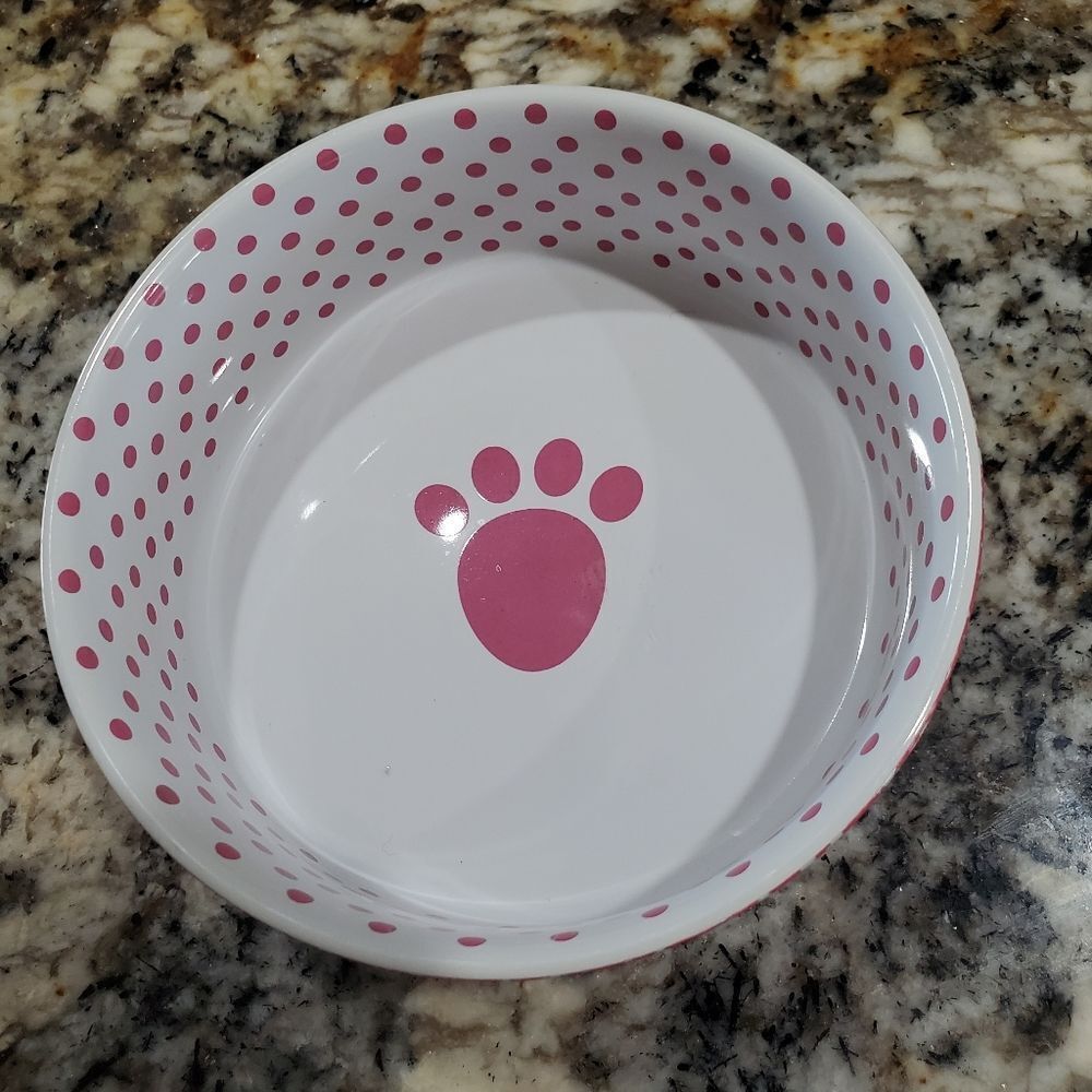 Petrageous Cat Dog Pet Bowl